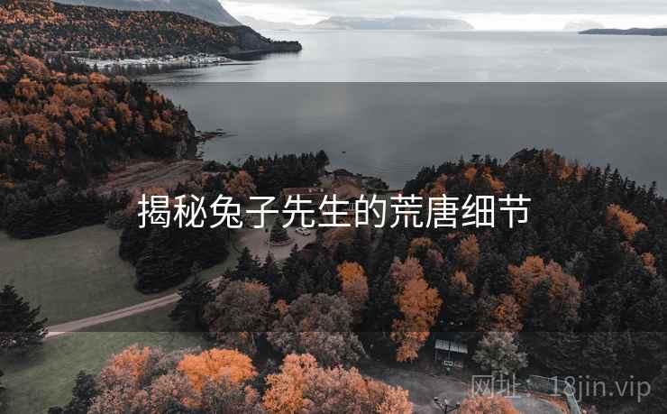 揭秘兔子先生的荒唐细节