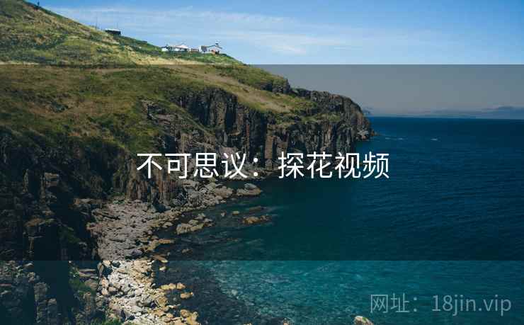 不可思议：探花视频