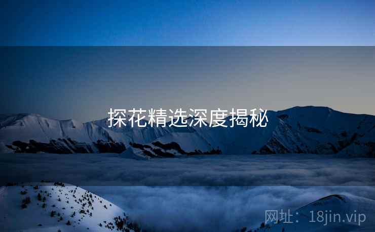 探花精选深度揭秘