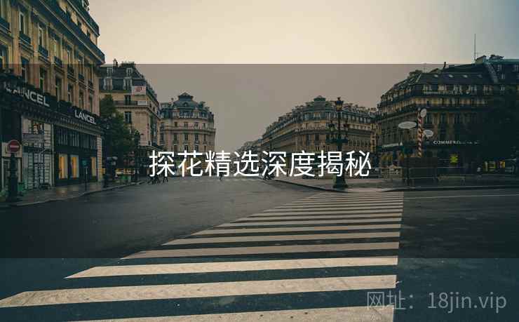 探花精选深度揭秘