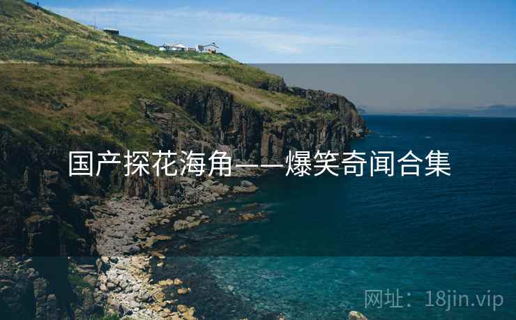 国产探花海角——爆笑奇闻合集
