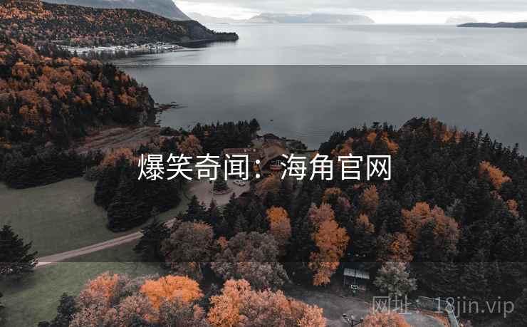 爆笑奇闻：海角官网