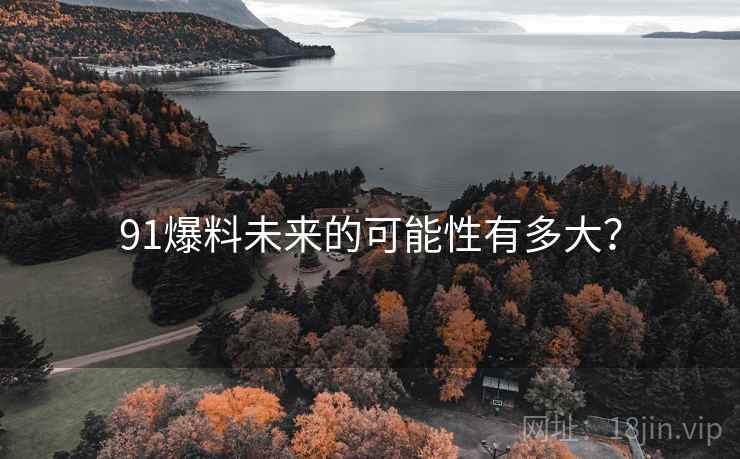 91爆料未来的可能性有多大？