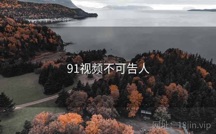 91视频不可告人