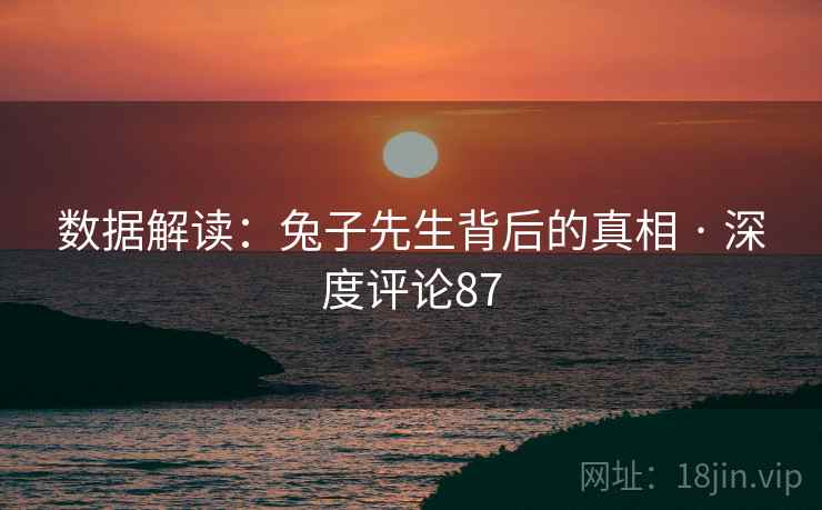 数据解读：兔子先生背后的真相 · 深度评论87