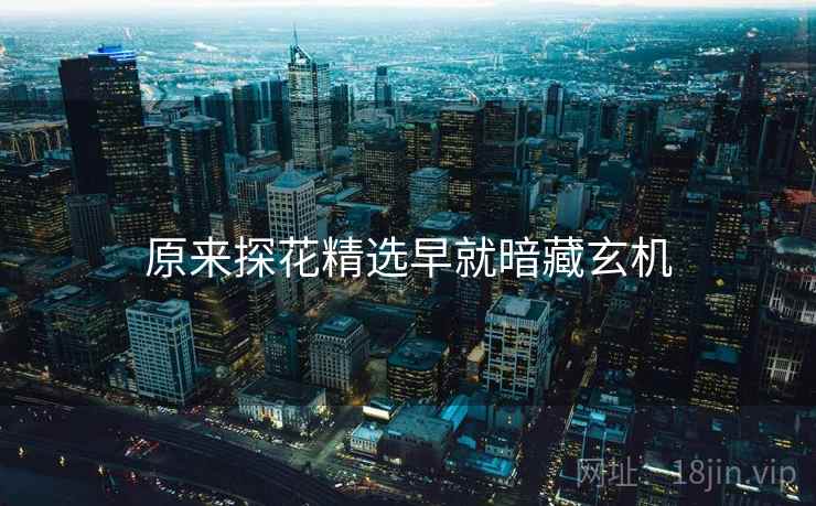 原来探花精选早就暗藏玄机