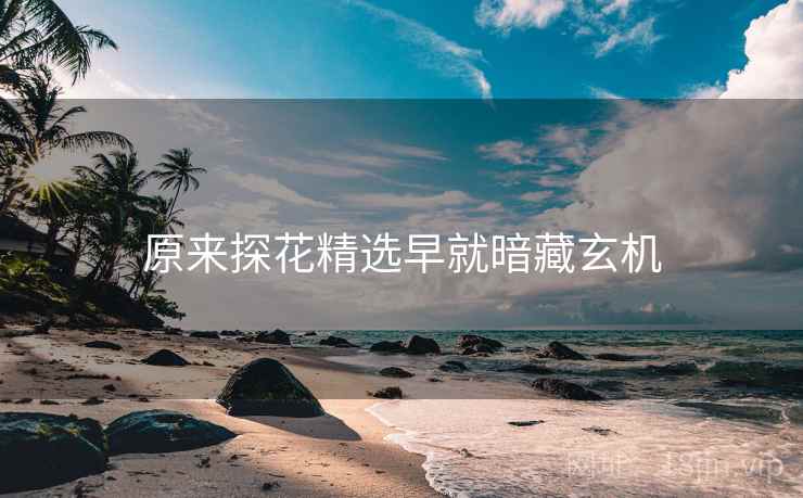 原来探花精选早就暗藏玄机