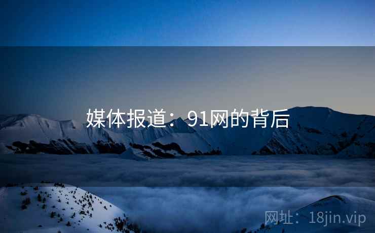 媒体报道：91网的背后