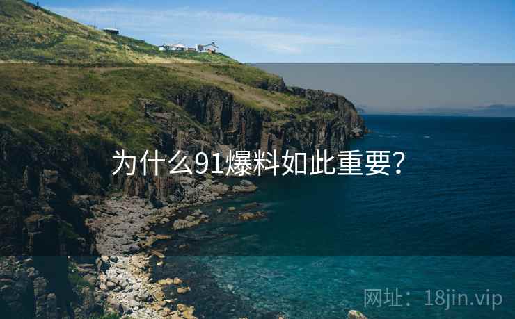 为什么91爆料如此重要？